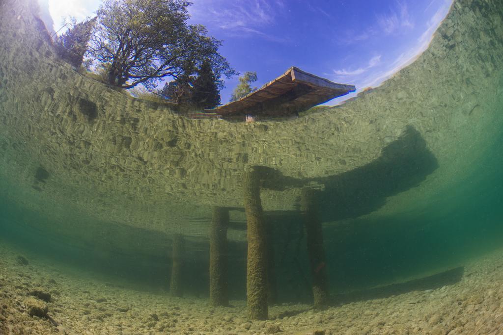 Gasthaus Pension Zur Nixe Steinbach am Attersee Εξωτερικό φωτογραφία